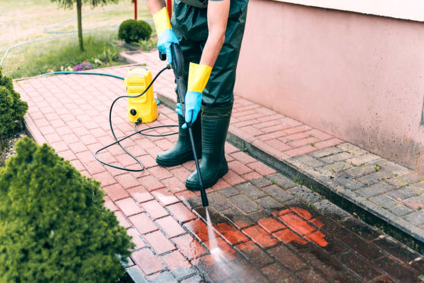 Best Solar Panel Cleaning  in Lowes Island, VA